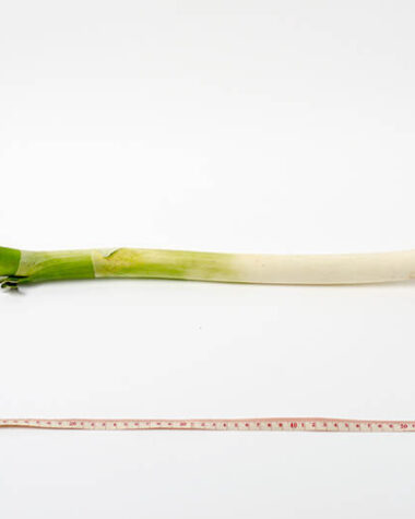 Pantry scallion | Omnivore's Cookbook